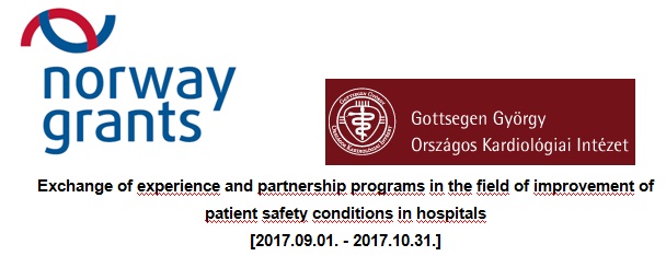 Exchange of experience and partnership programs in the field of improvement of patient safety conditions in hospitals